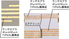 図：ランゲカプラ